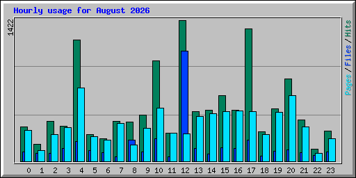 Hourly usage for August 2026